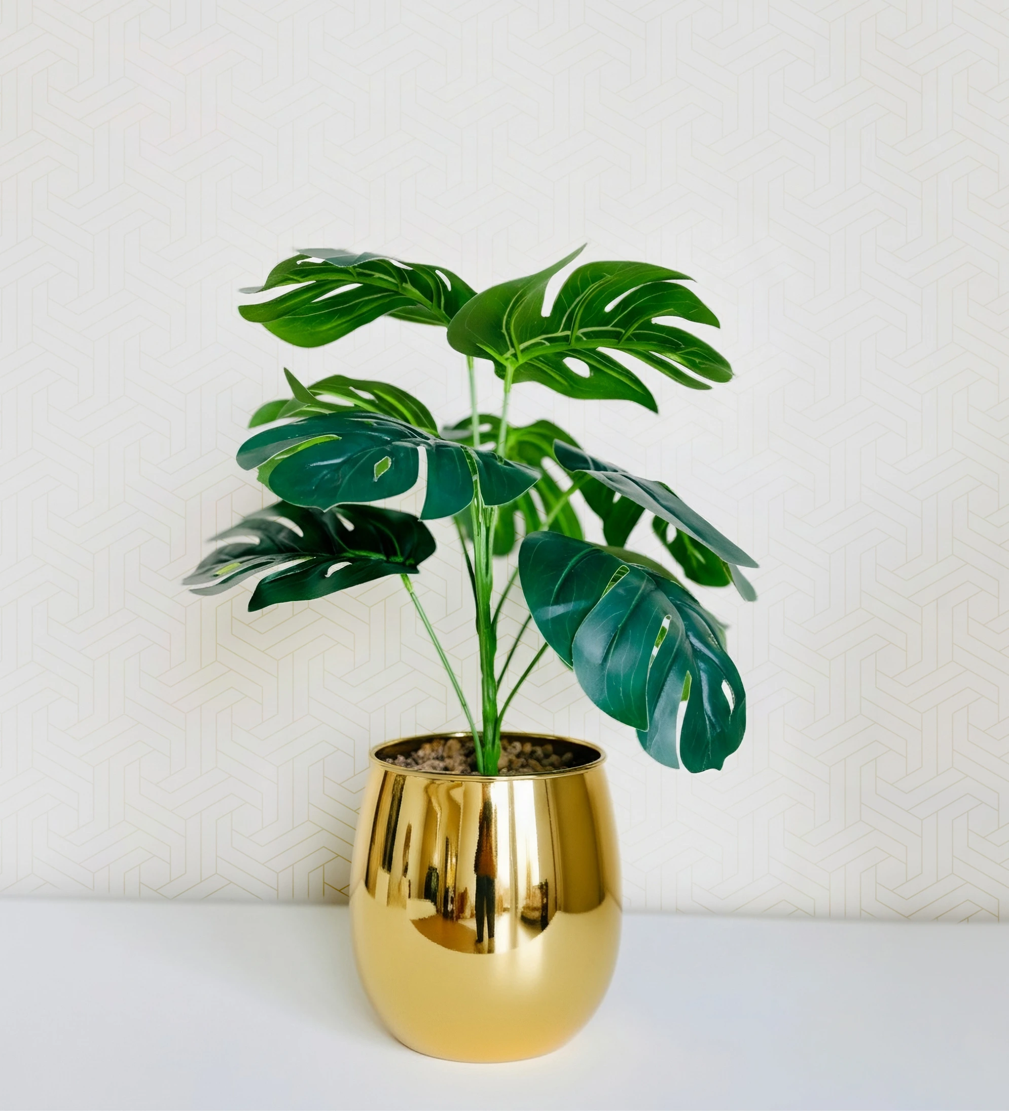Planters