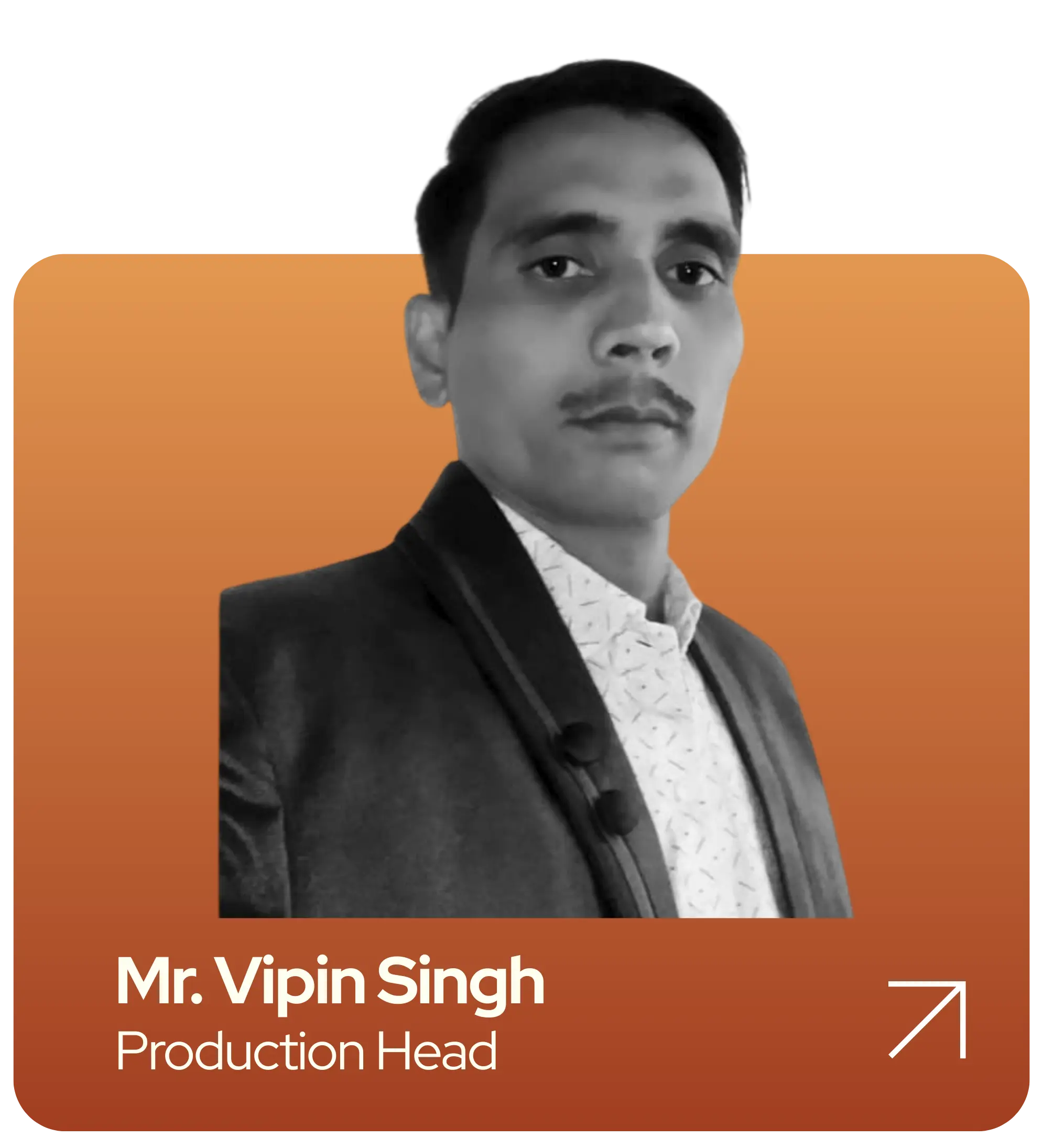 Mr. Vipin Singh